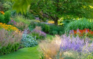 colorful pollinator garden with wildflowers