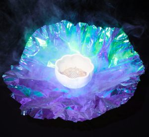 A culinary interpretation by Chef Jenner Tomaska of Esmé of one of Paul Octavious' work. Photo: Paul Octavious