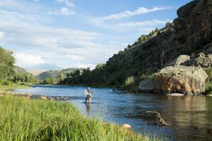 Fly fishing at Brush Creek Ranch